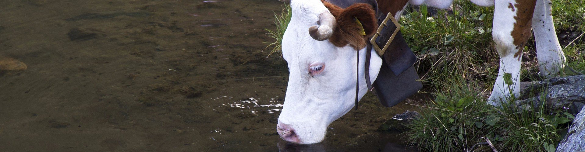 shutterstock_148874843