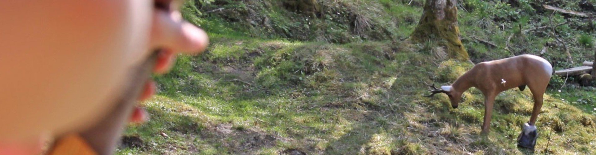 bogenschiessen_gross